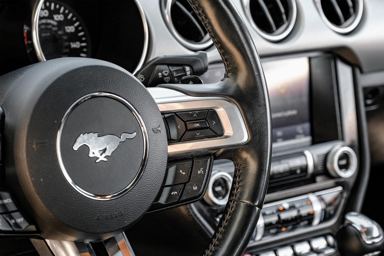 Ford Mustang Vehicle Main Gallery Image 16