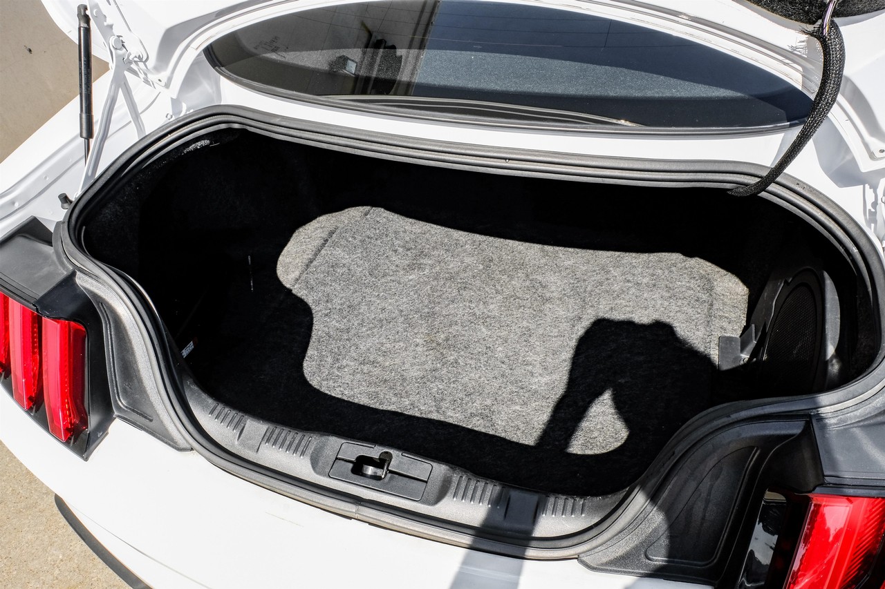 Ford Mustang Vehicle Main Gallery Image 37