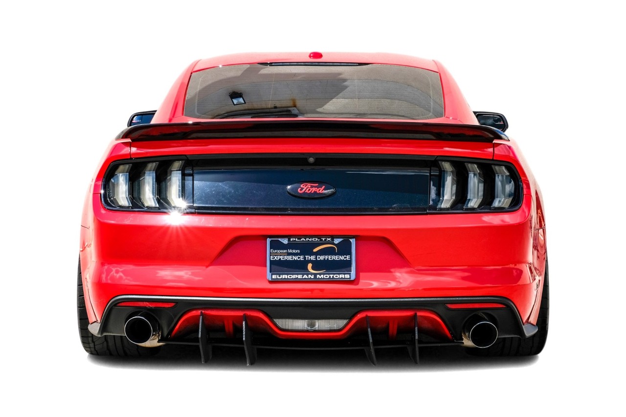 Ford Mustang Vehicle Main Gallery Image 09
