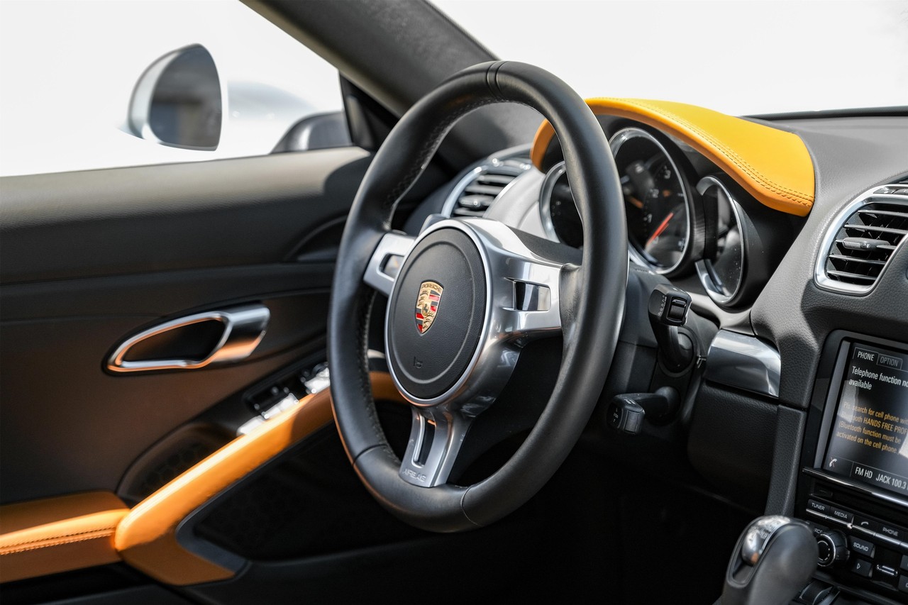 Porsche Cayman Vehicle Main Gallery Image 13