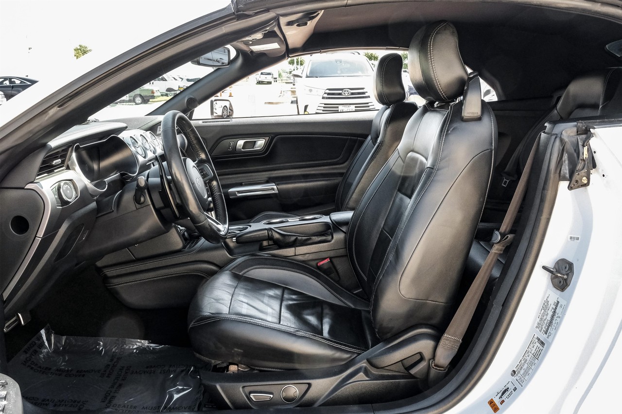 Ford Mustang Vehicle Main Gallery Image 04