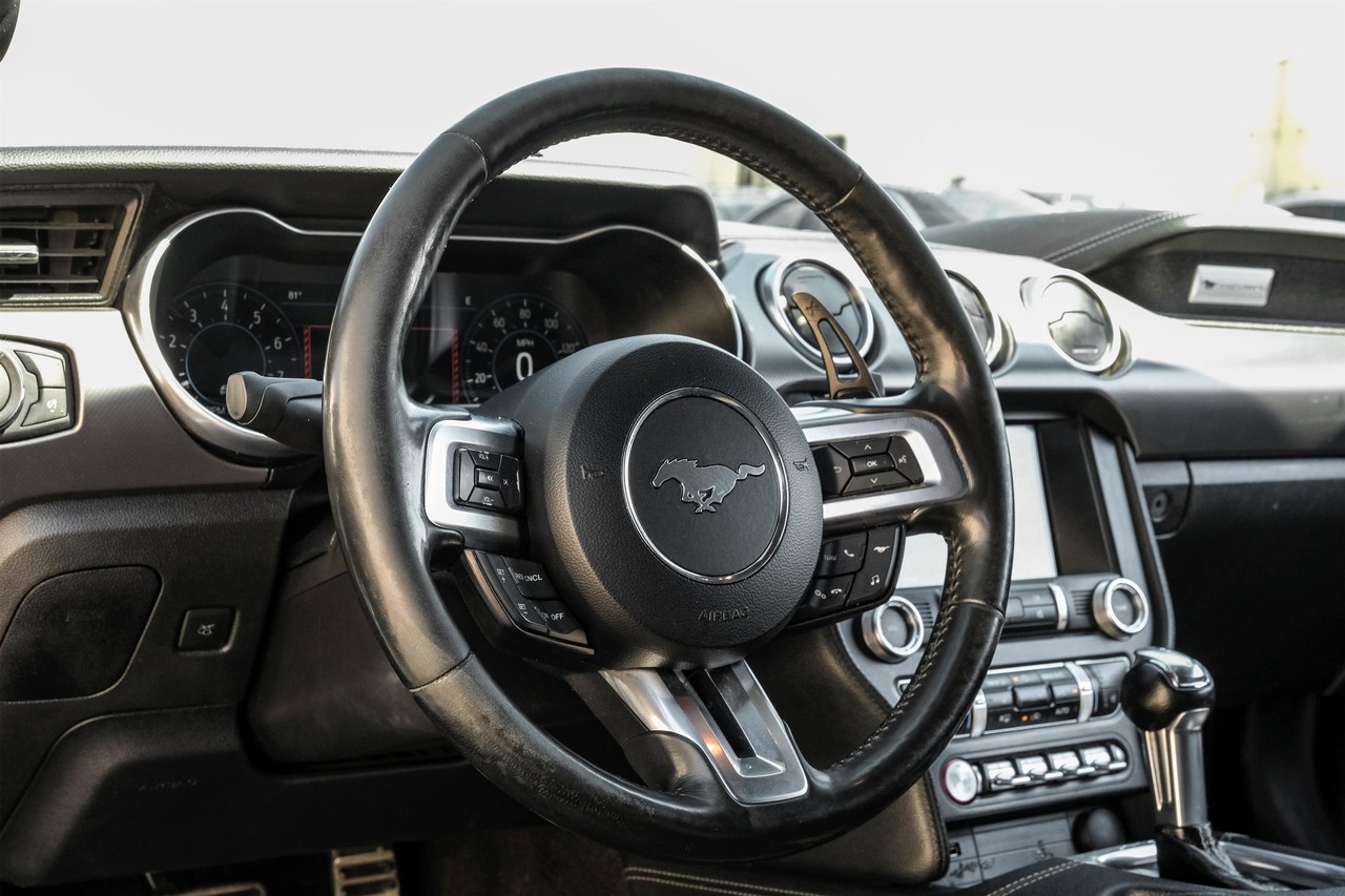 Ford Mustang Vehicle Main Gallery Image 15