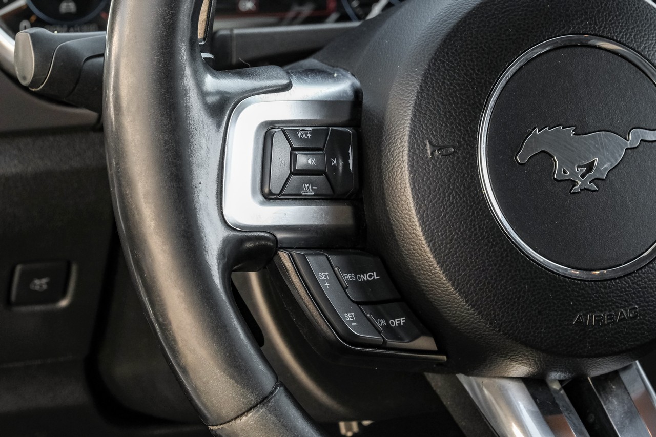 Ford Mustang Vehicle Main Gallery Image 16
