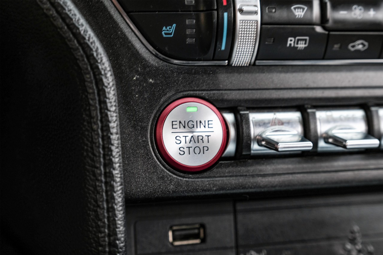 Ford Mustang Vehicle Main Gallery Image 20