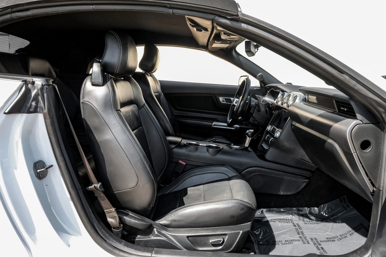 Ford Mustang Vehicle Main Gallery Image 34