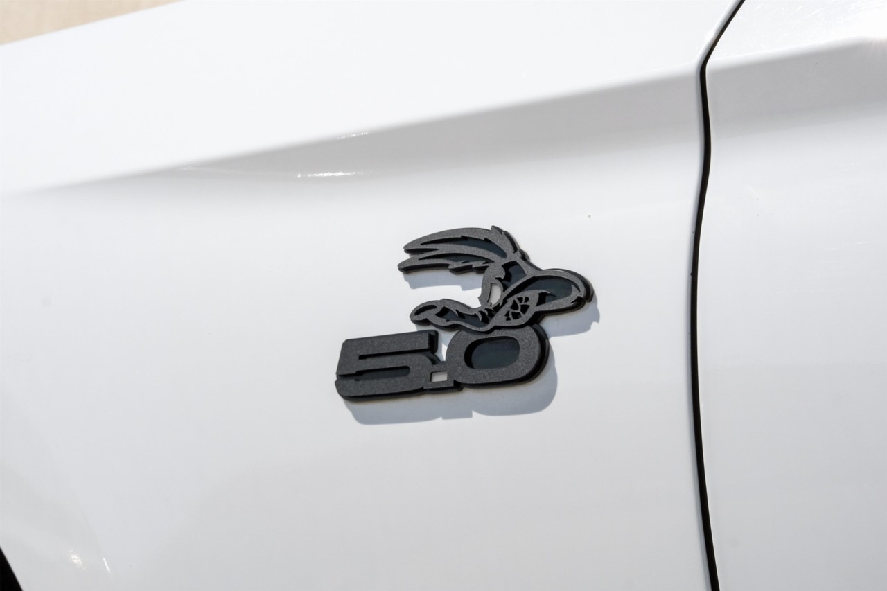 Ford Mustang Vehicle Main Gallery Image 43