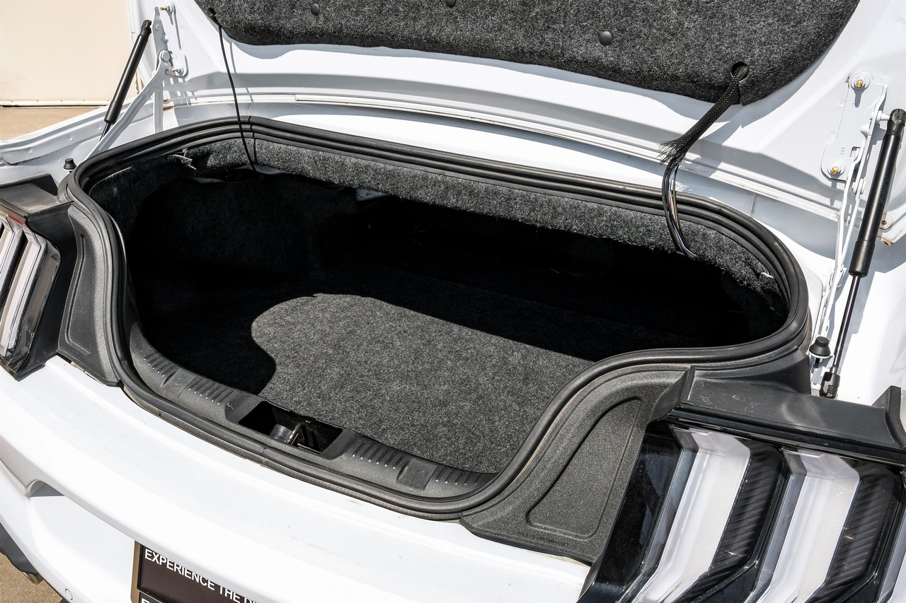 Ford Mustang Vehicle Main Gallery Image 44