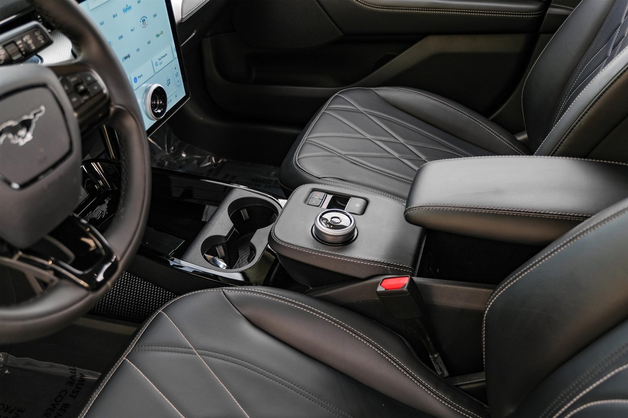 Ford Mustang Mach-E Vehicle Main Gallery Image 25