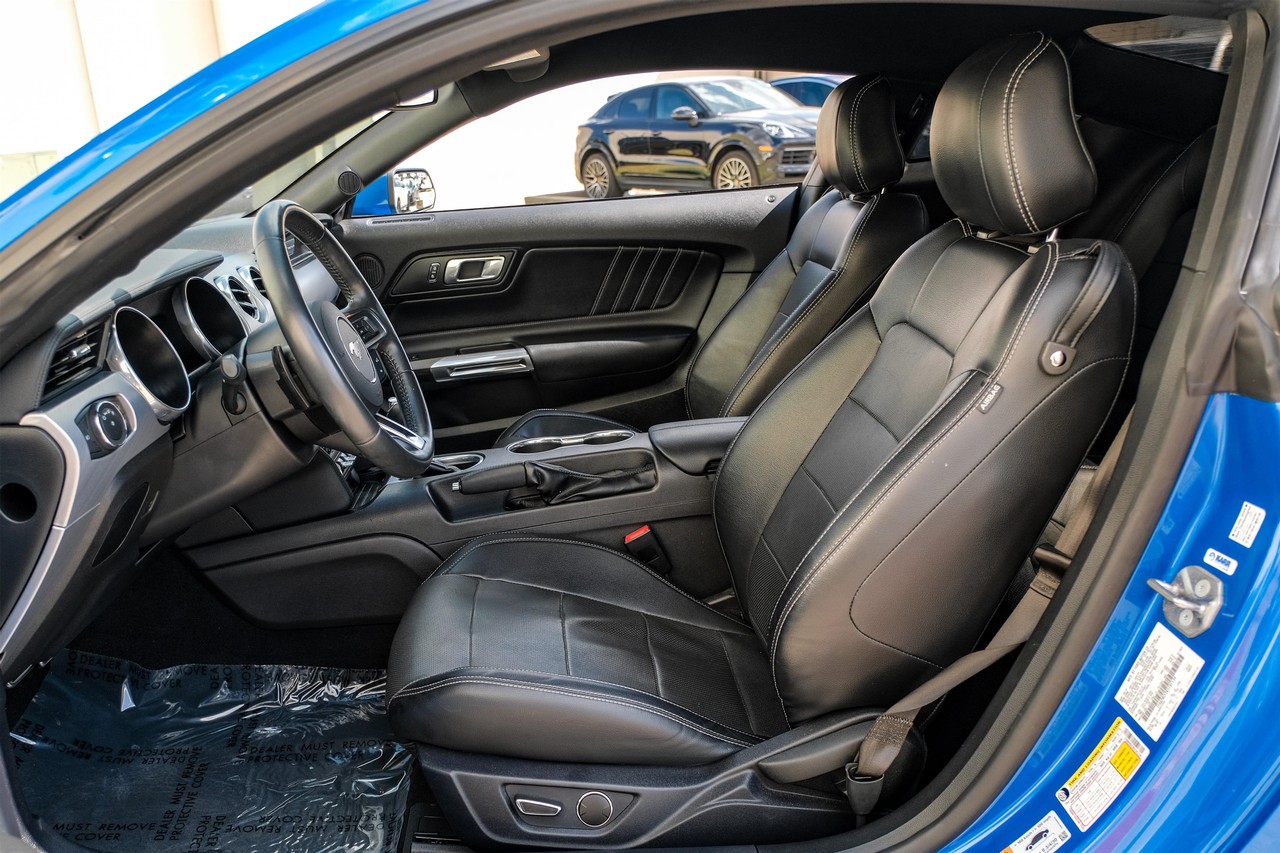 Ford Mustang Vehicle Main Gallery Image 04
