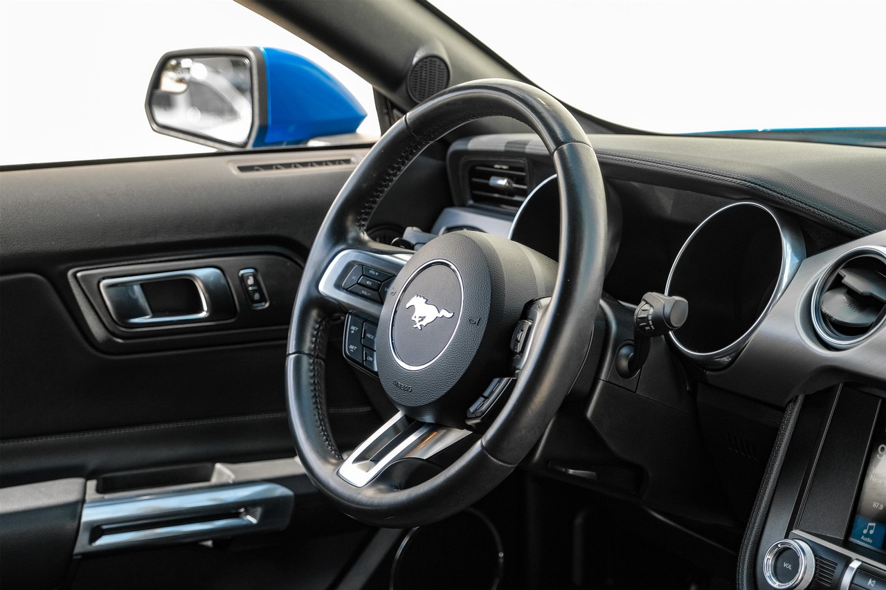Ford Mustang Vehicle Main Gallery Image 13