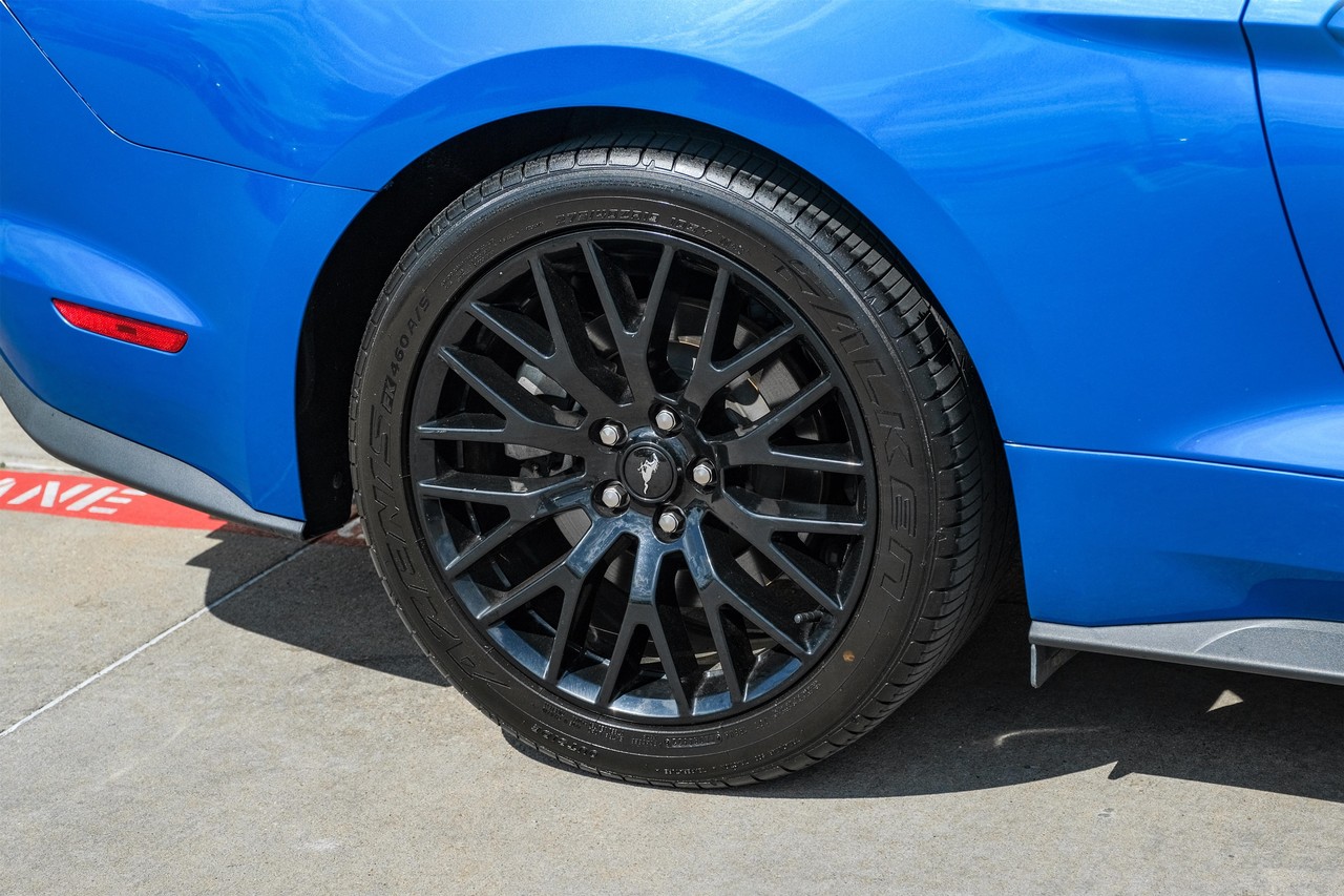 Ford Mustang Vehicle Main Gallery Image 44