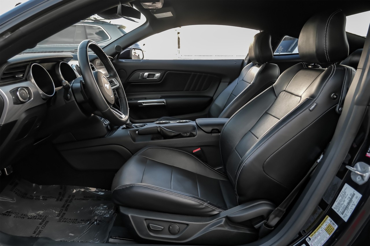 Ford Mustang Vehicle Main Gallery Image 04