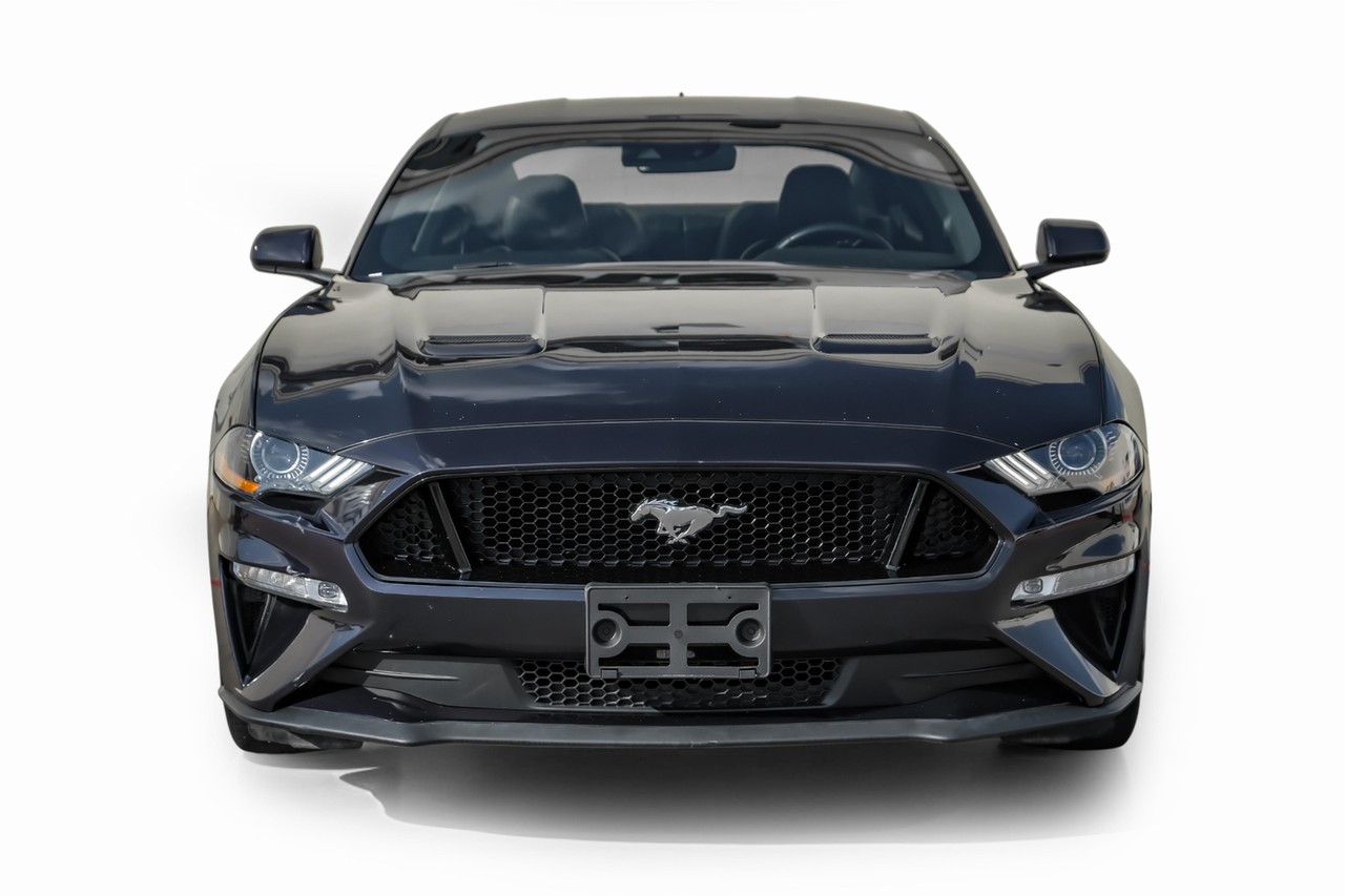 Ford Mustang Vehicle Main Gallery Image 05