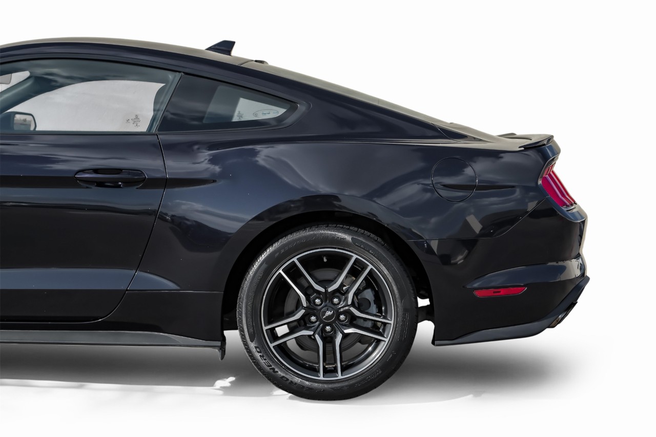 Ford Mustang Vehicle Main Gallery Image 13