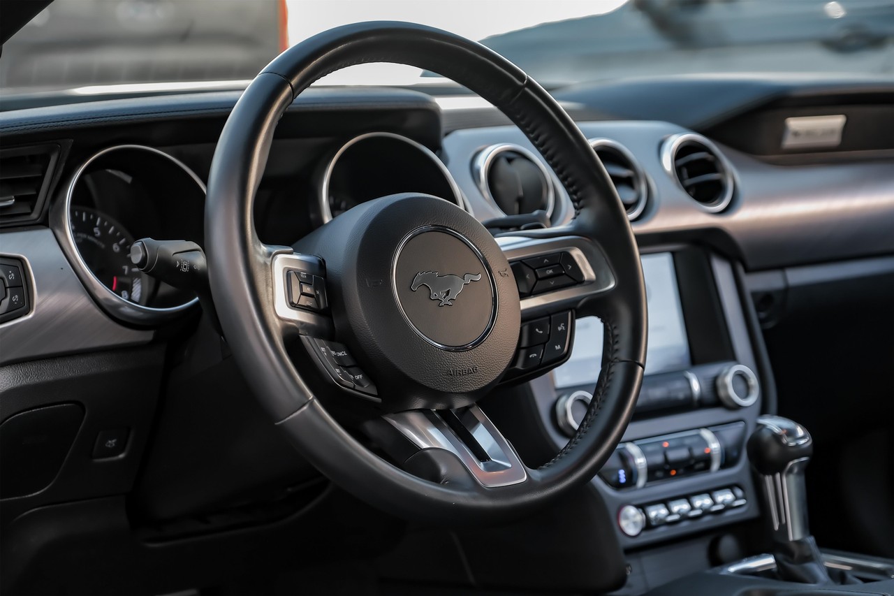 Ford Mustang Vehicle Main Gallery Image 16