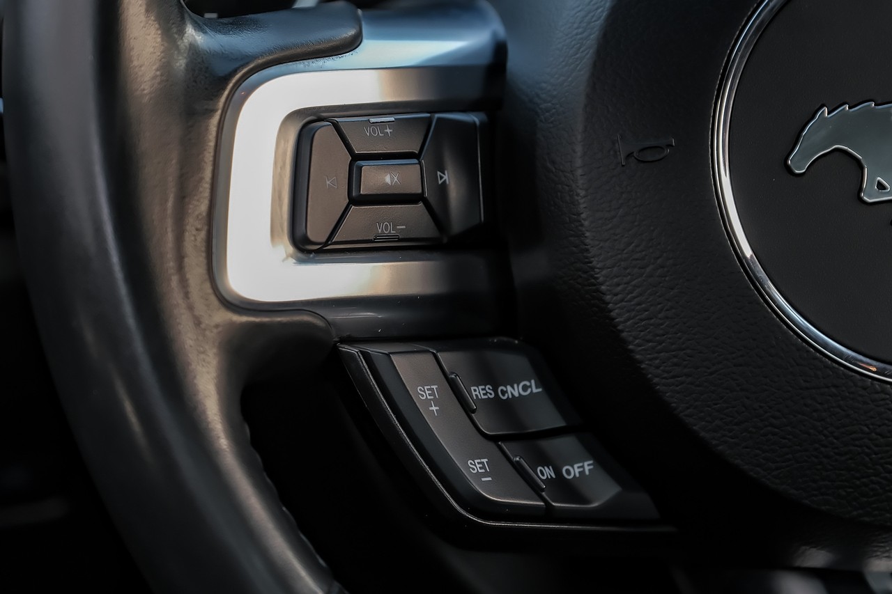 Ford Mustang Vehicle Main Gallery Image 17
