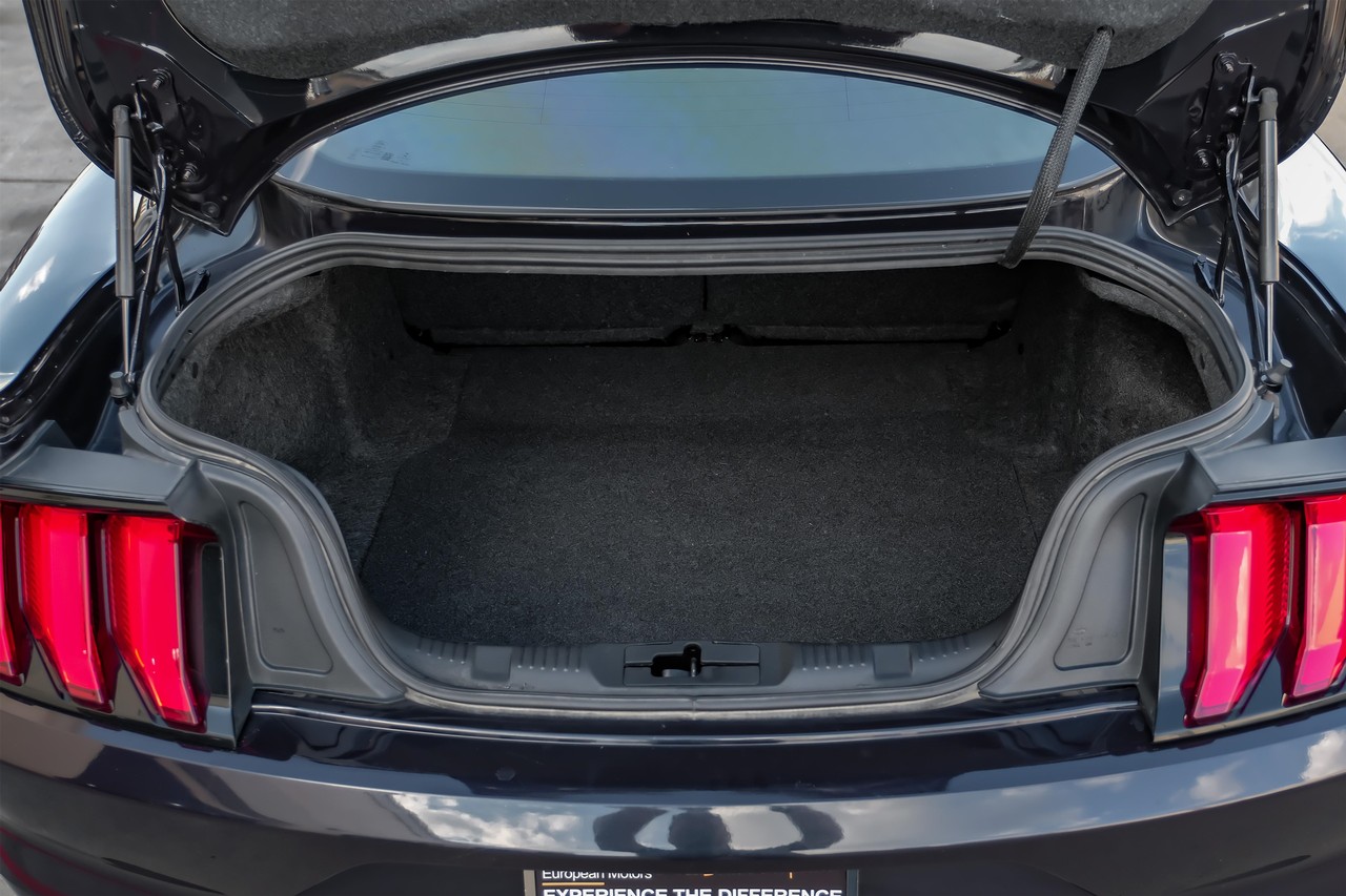 Ford Mustang Vehicle Main Gallery Image 43