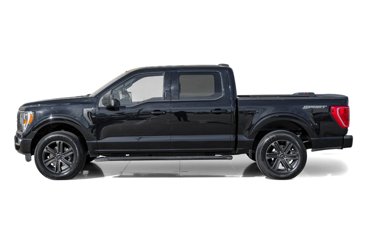 Ford F-150 Vehicle Main Gallery Image 11