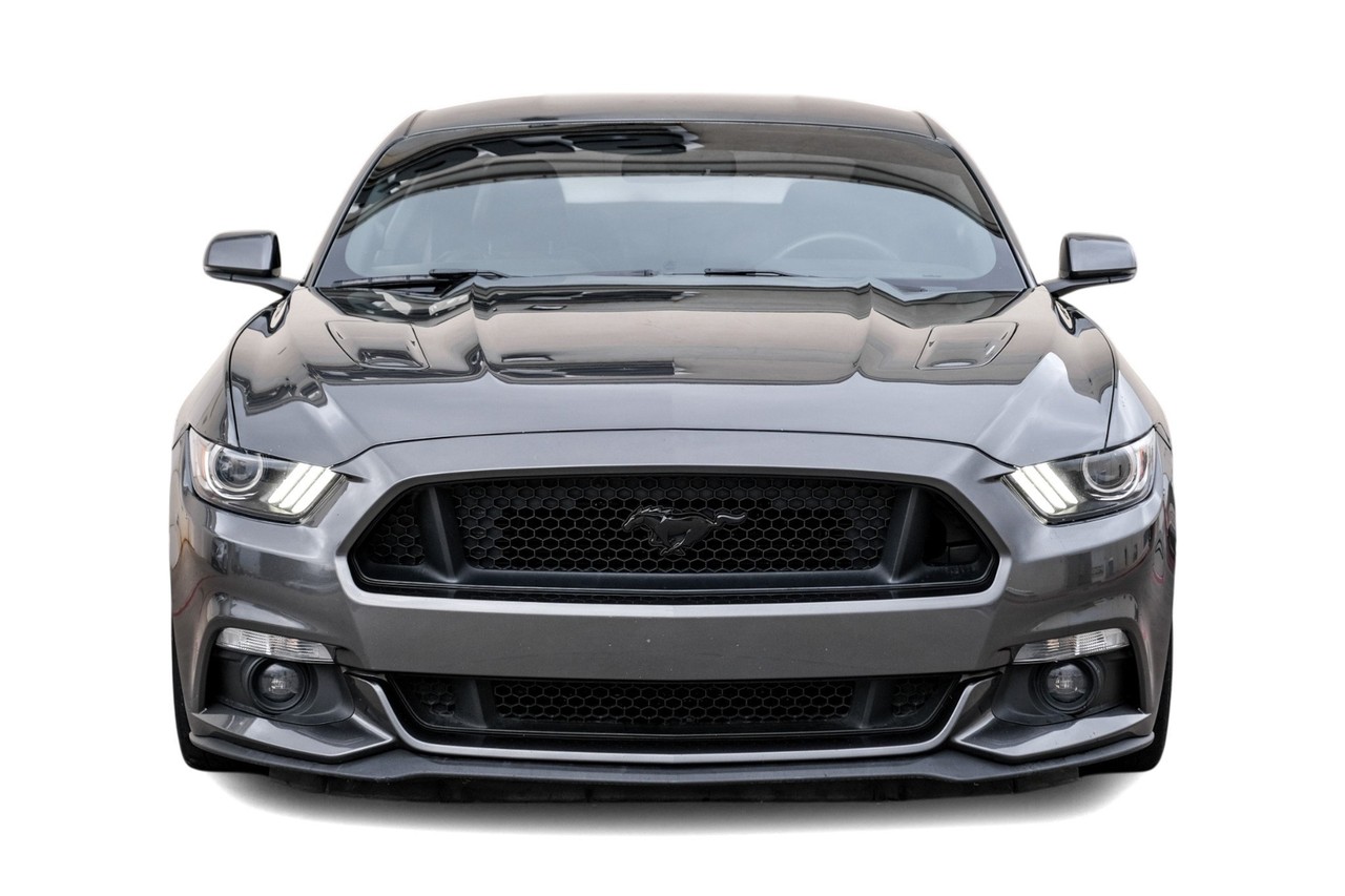 Ford Mustang Vehicle Main Gallery Image 05