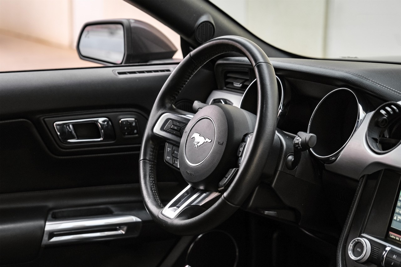 Ford Mustang Vehicle Main Gallery Image 13