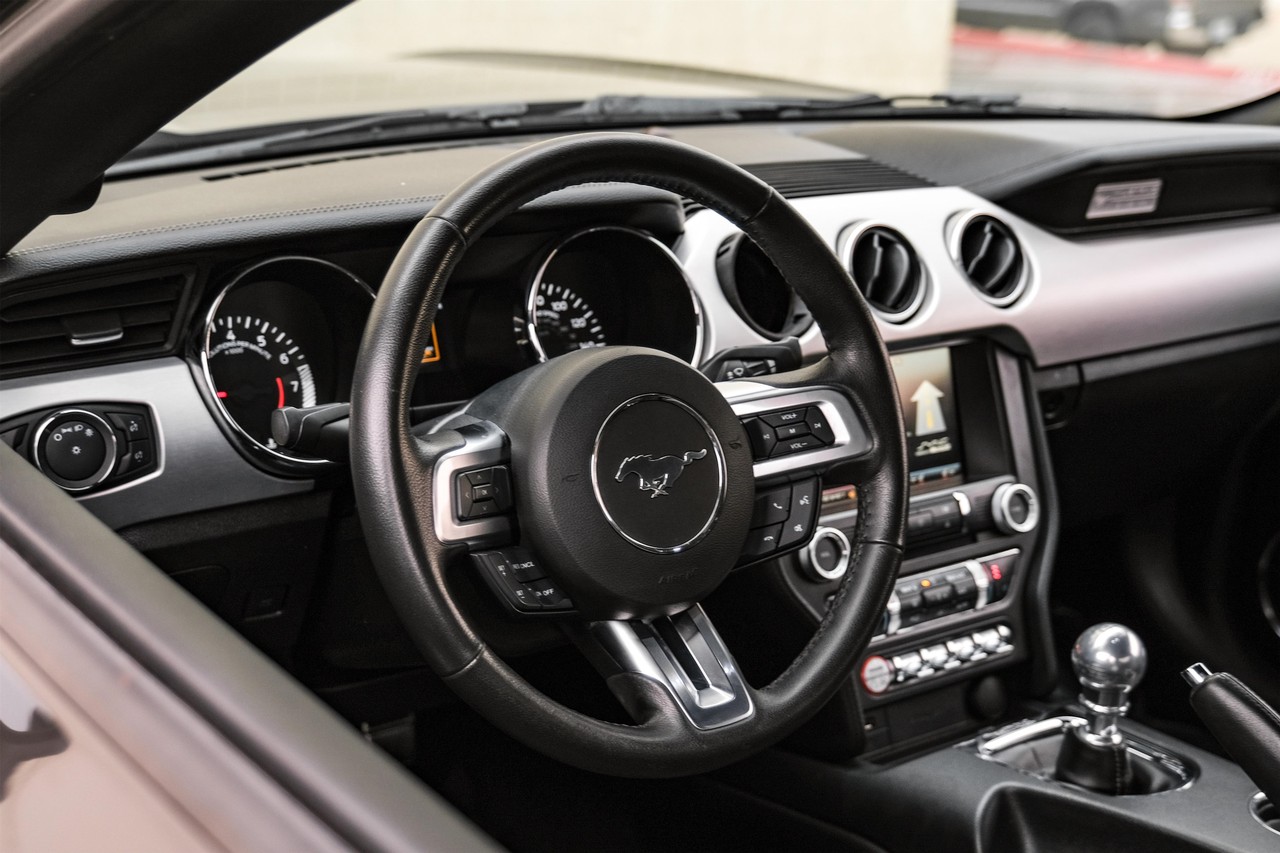 Ford Mustang Vehicle Main Gallery Image 14