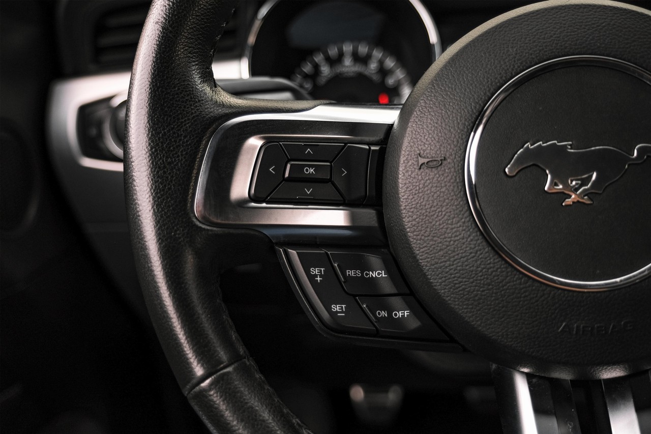 Ford Mustang Vehicle Main Gallery Image 15