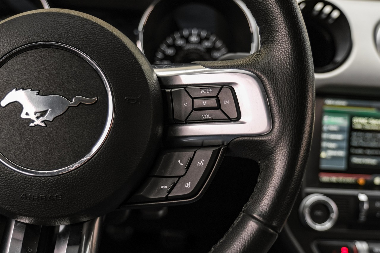 Ford Mustang Vehicle Main Gallery Image 16