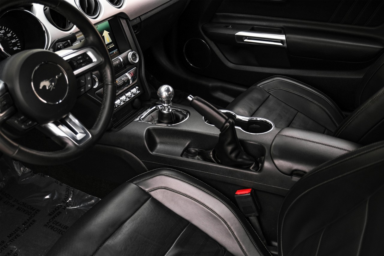 Ford Mustang Vehicle Main Gallery Image 22