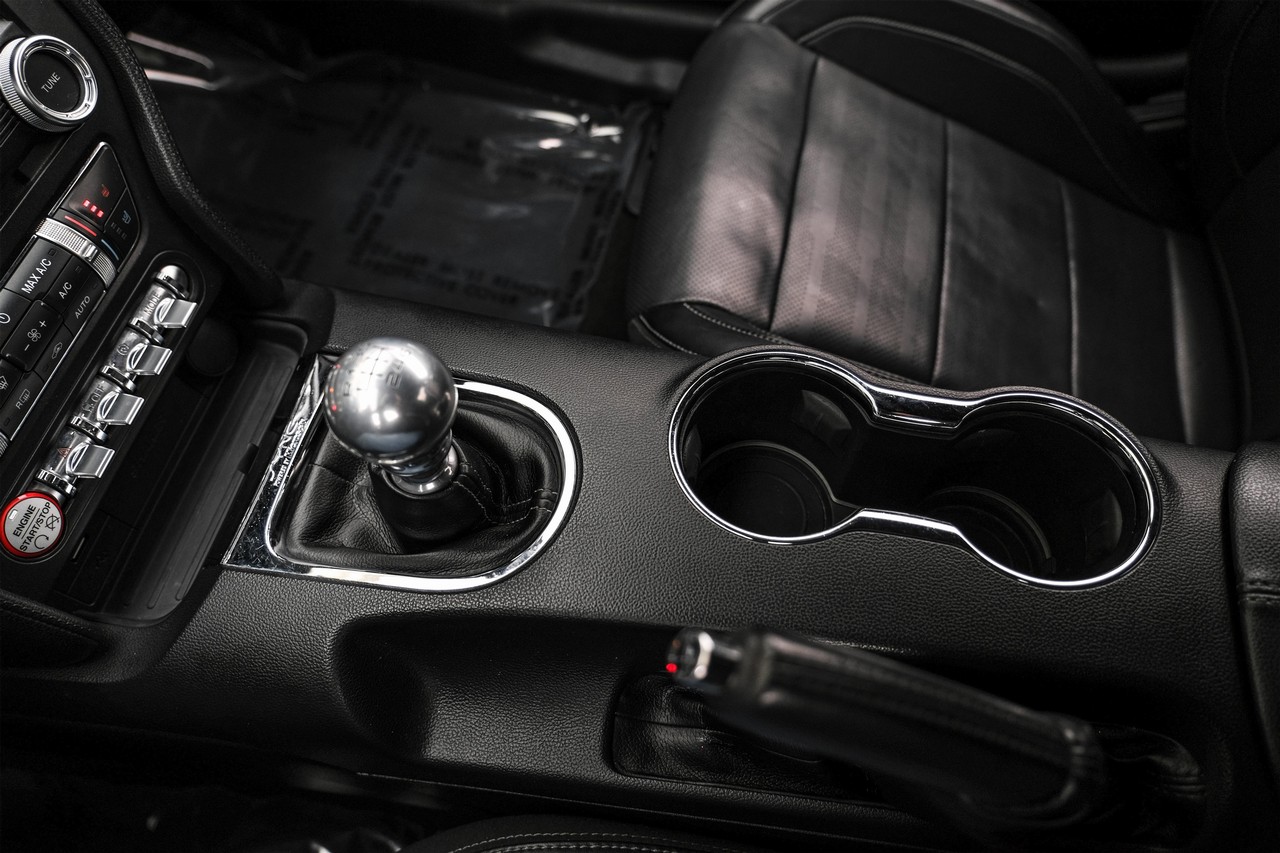 Ford Mustang Vehicle Main Gallery Image 23