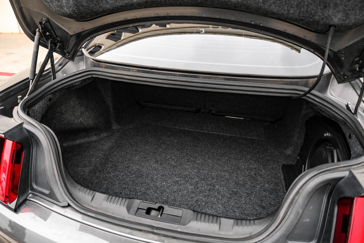 Ford Mustang Vehicle Main Gallery Image 44