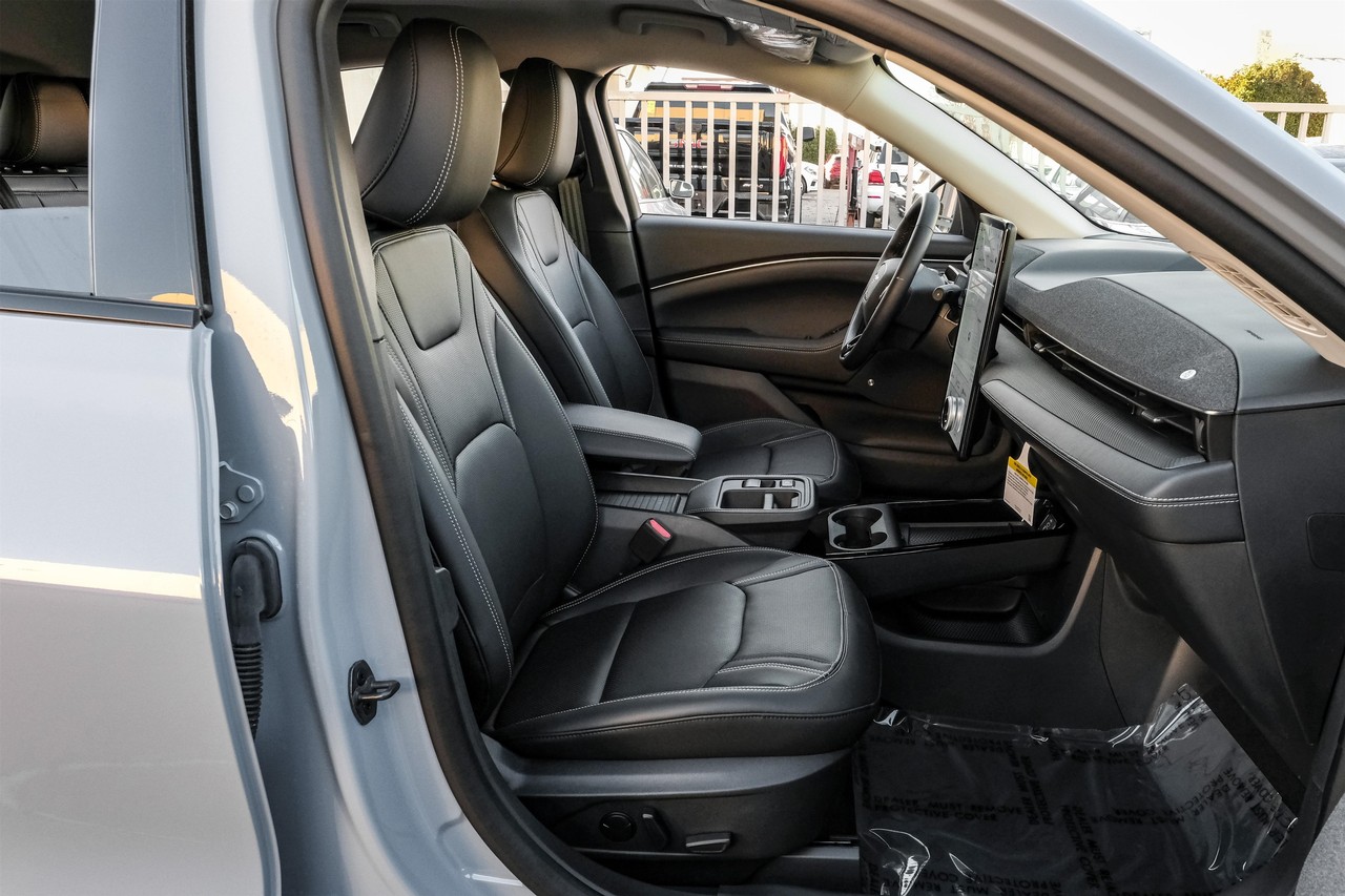 Ford Mustang Mach-E Vehicle Main Gallery Image 38