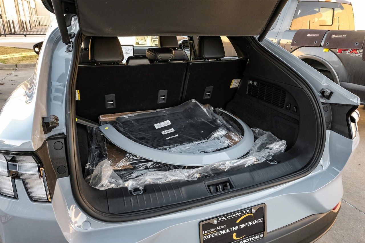 Ford Mustang Mach-E Vehicle Main Gallery Image 59