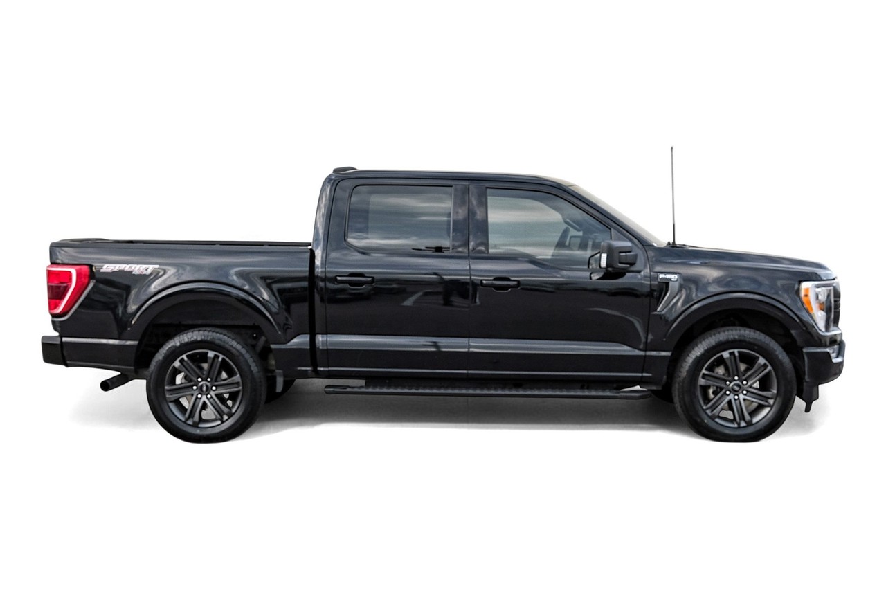 Ford F-150 Vehicle Main Gallery Image 07