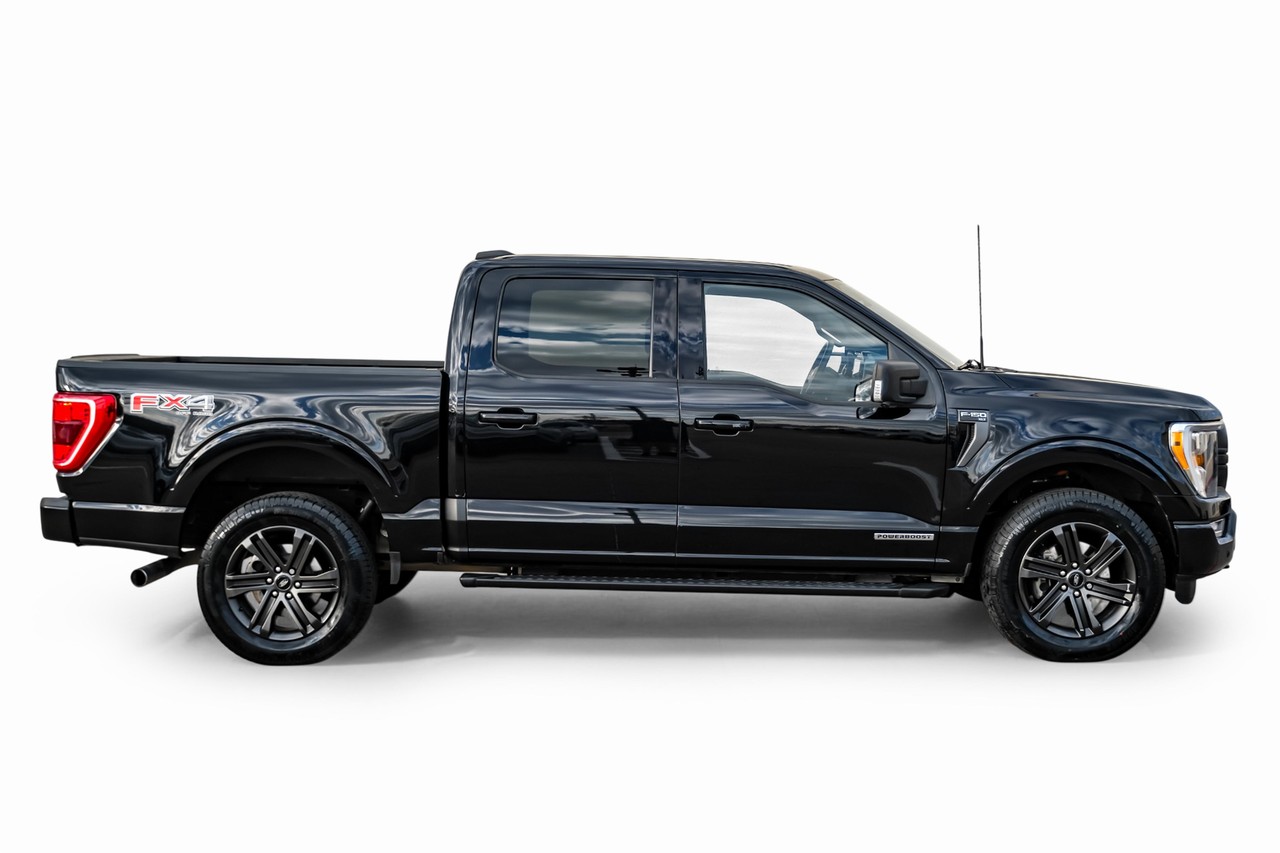 Ford F-150 Vehicle Main Gallery Image 07