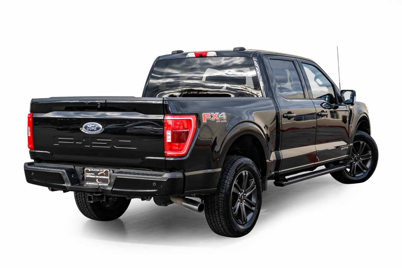 Ford F-150 Vehicle Main Gallery Image 08