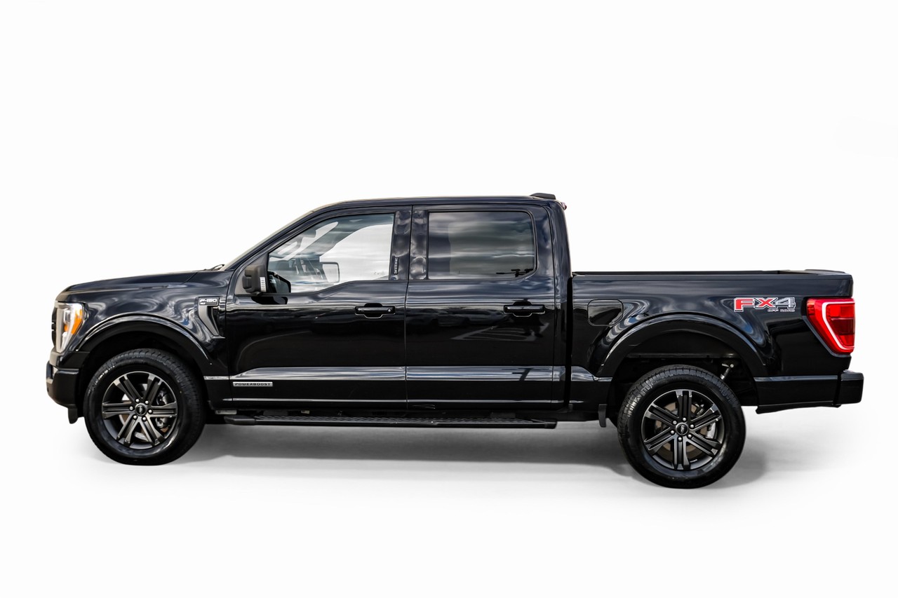 Ford F-150 Vehicle Main Gallery Image 11
