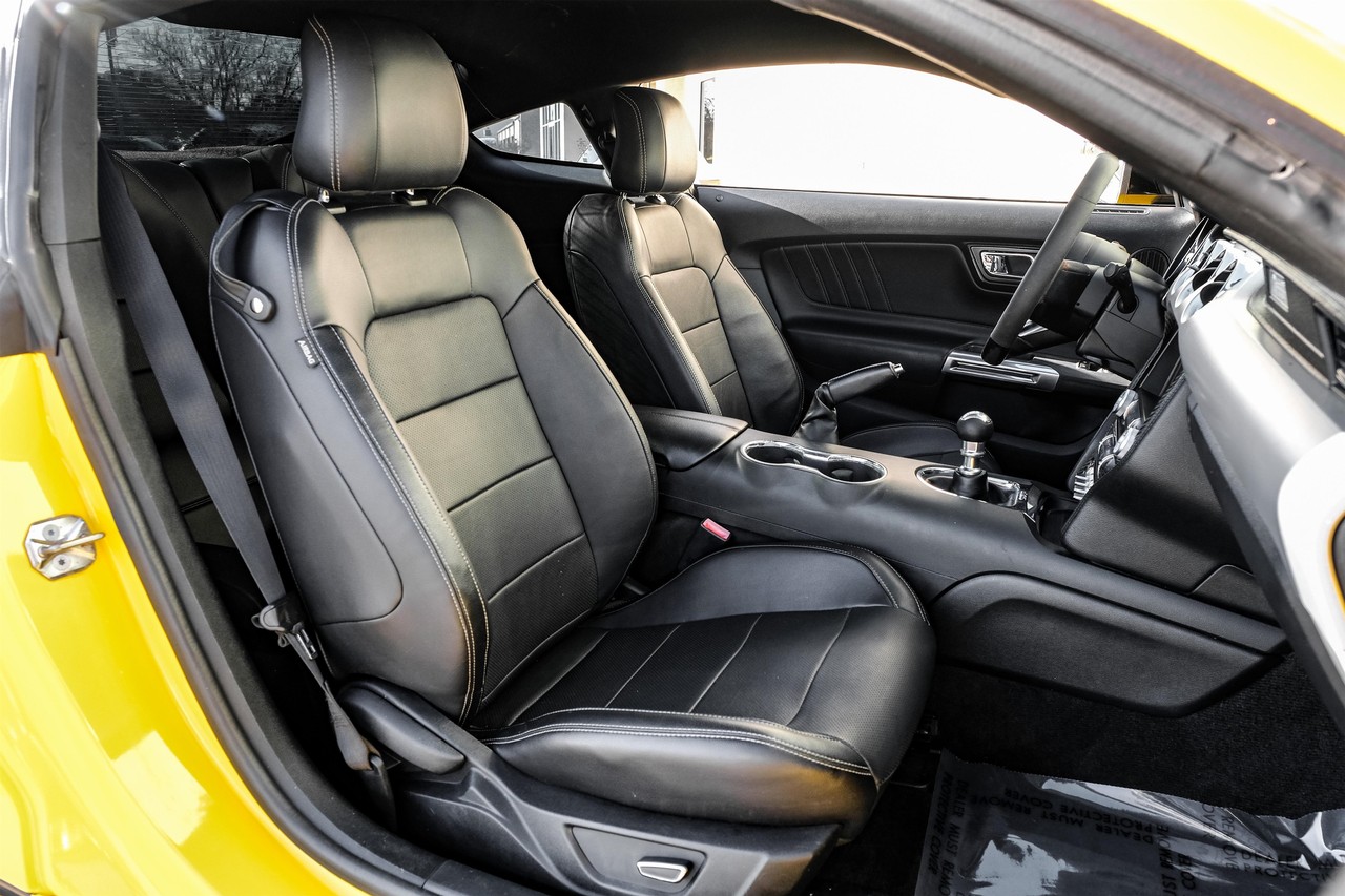 Ford Mustang Vehicle Main Gallery Image 28