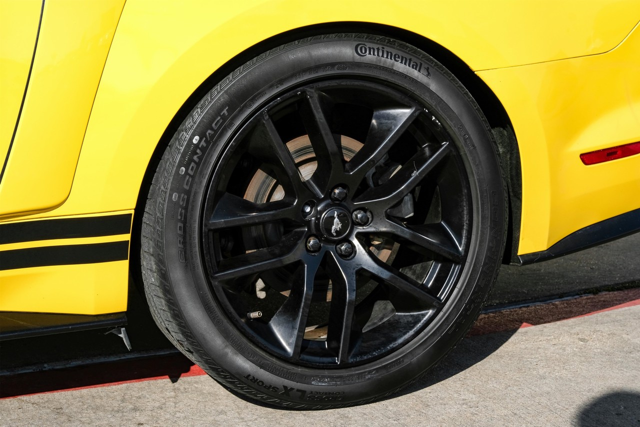 Ford Mustang Vehicle Main Gallery Image 41