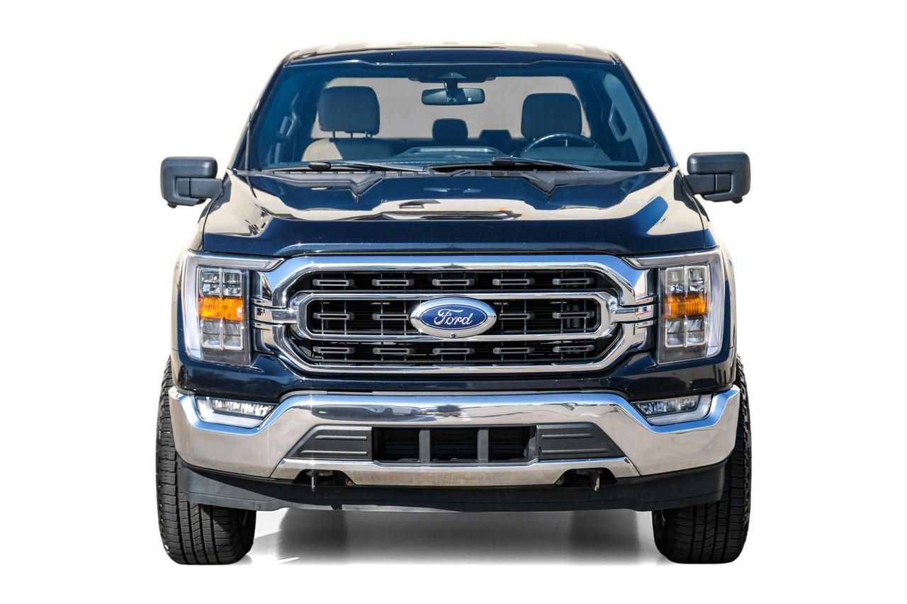 Ford F-150 Vehicle Main Gallery Image 05