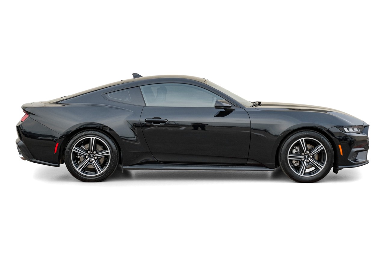 Ford Mustang Vehicle Main Gallery Image 07