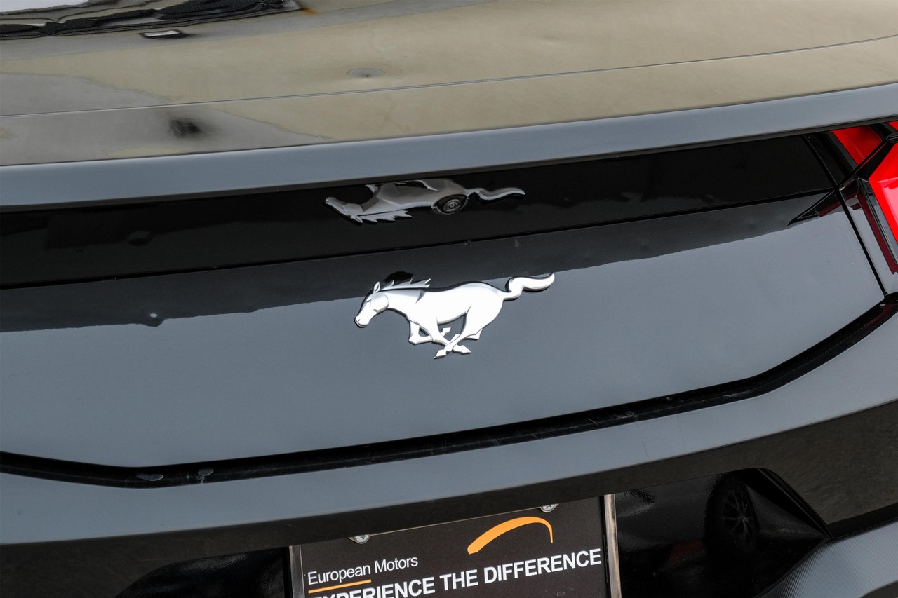 Ford Mustang Vehicle Main Gallery Image 45