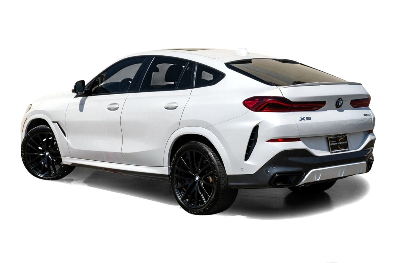 BMW X6 Vehicle Main Gallery Image 11