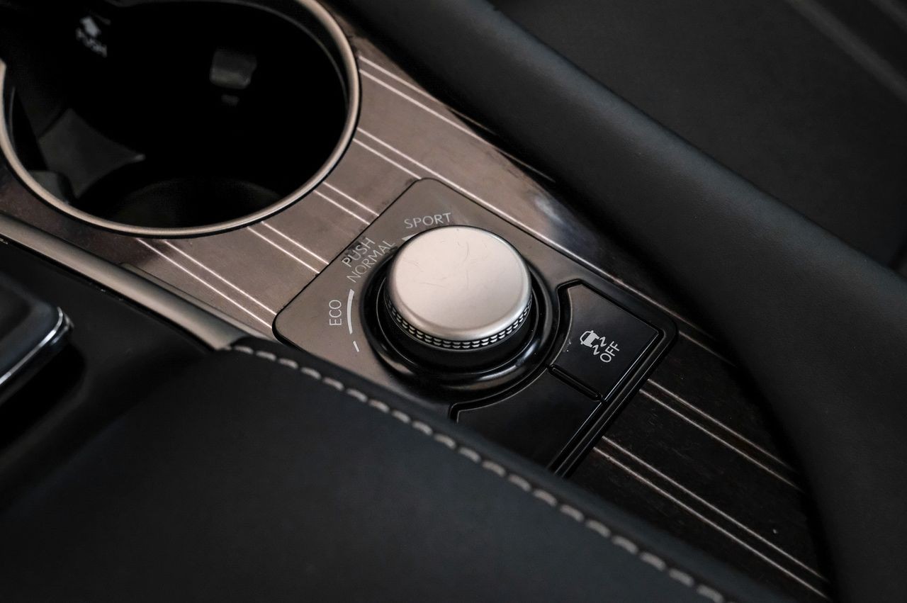 Lexus RX Vehicle Main Gallery Image 25