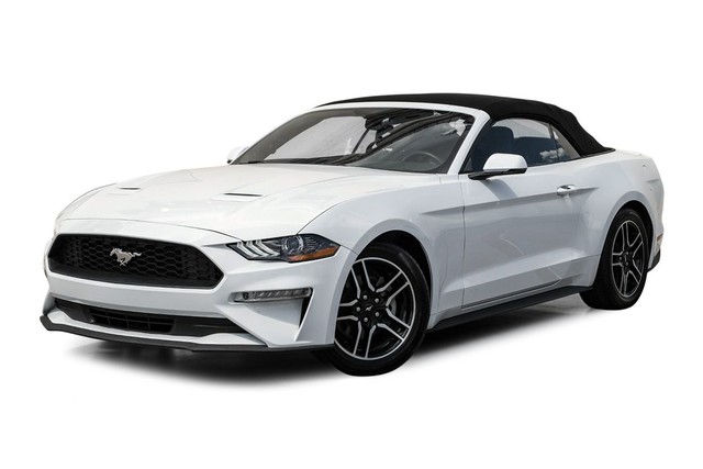 Ford Mustang Vehicle Full-screen Gallery Image 04