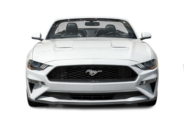 Ford Mustang Vehicle Full-screen Gallery Image 05