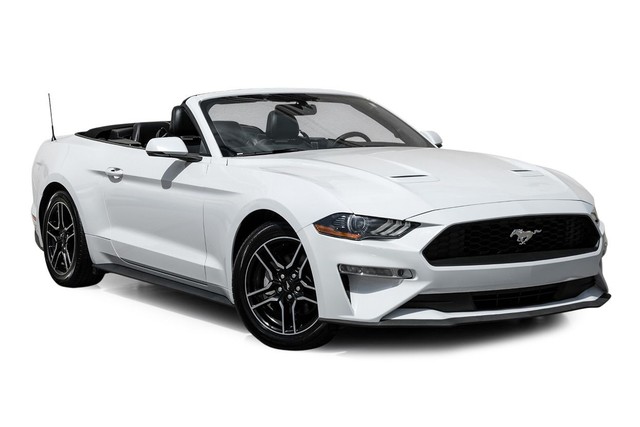 Ford Mustang Vehicle Full-screen Gallery Image 06