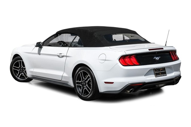 Ford Mustang Vehicle Full-screen Gallery Image 10