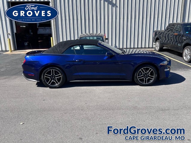 2020 Ford Mustang EcoBoost at Ford Groves in Cape Girardeau MO