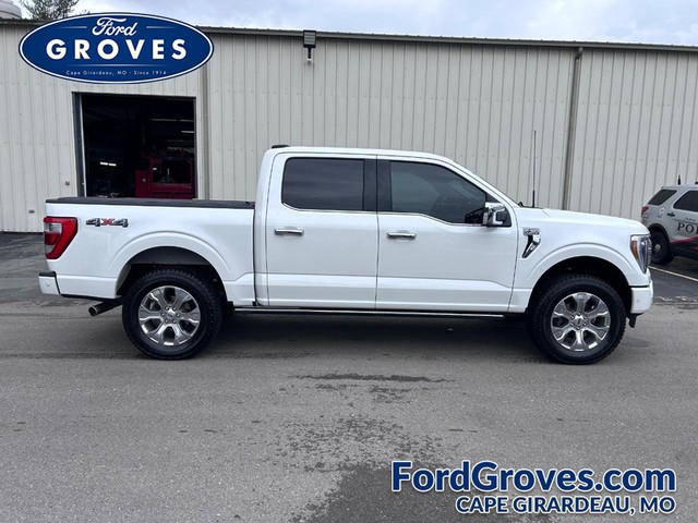 2023 Ford F-150 4WD Platinum SuperCrew at Ford Groves in Cape Girardeau MO