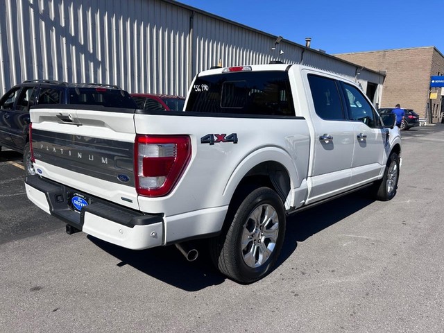 Used 2023 Ford F-150 Platinum with VIN 1FTFW1E83PFC04084 for sale in Cape Girardeau, MO